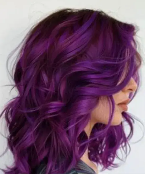 royal-orchid